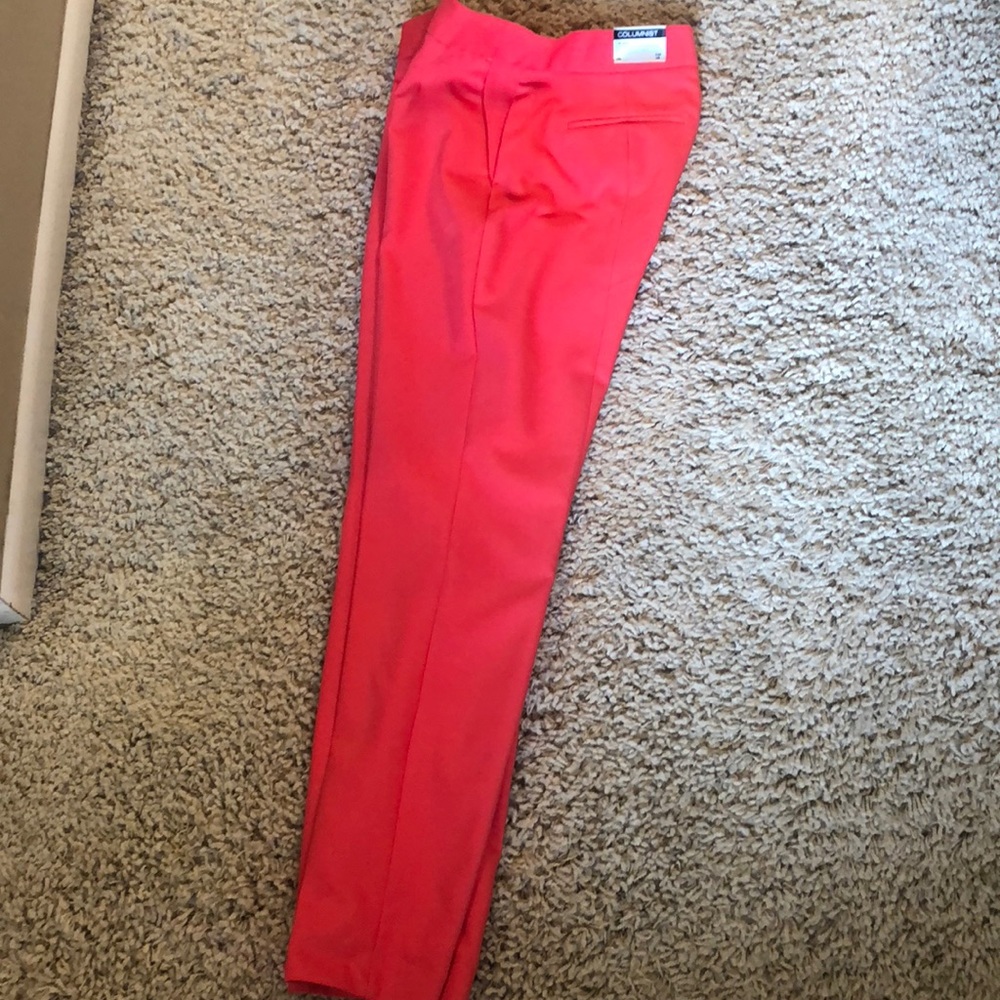 NWT Express pants